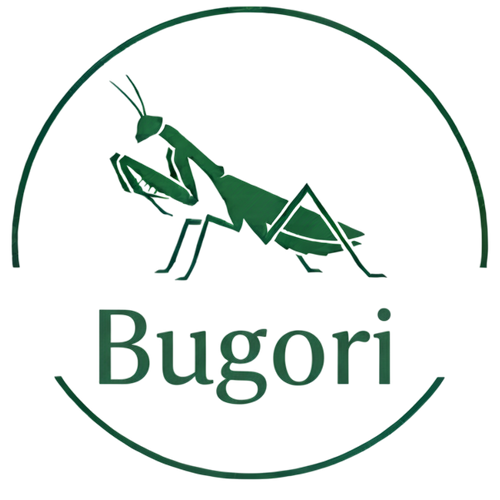 My Store